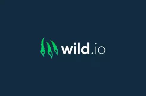 Wild.io - Casino sans KYC